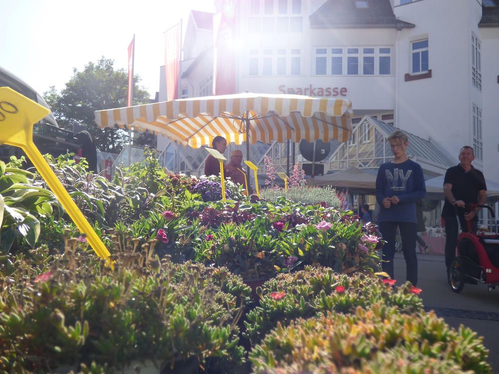 Herbstmarkt und Stadtfest in Simmern i8umsq