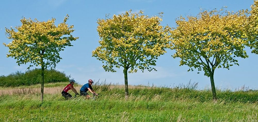 MTB 9 Grüne Hölle Freisen i8hz7y