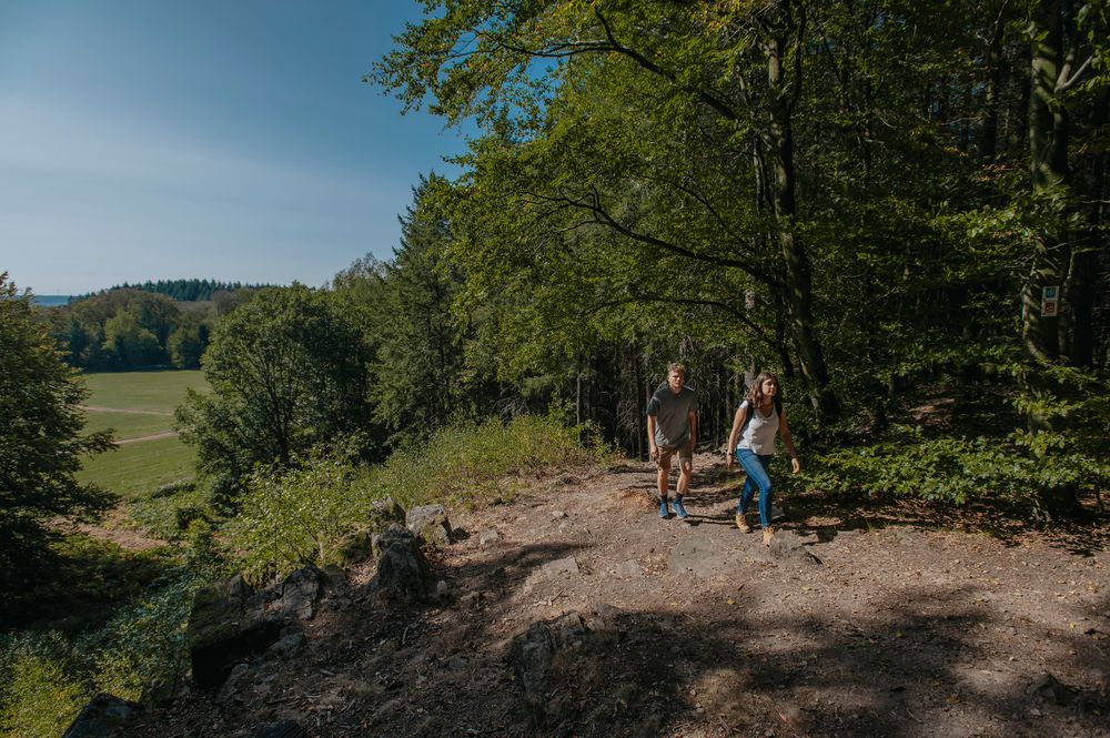Saar Hunsrück Steig   05