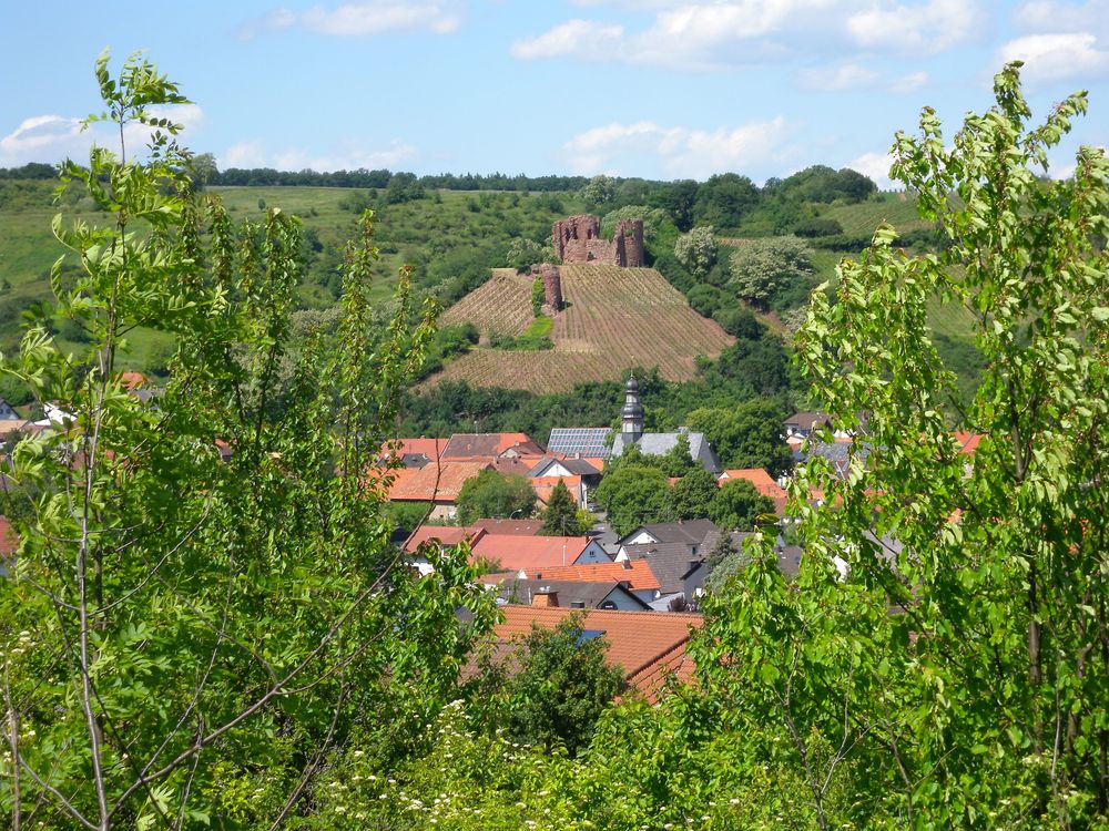 Gutenberg im Naheland "Gutenburgweg" gu5o26