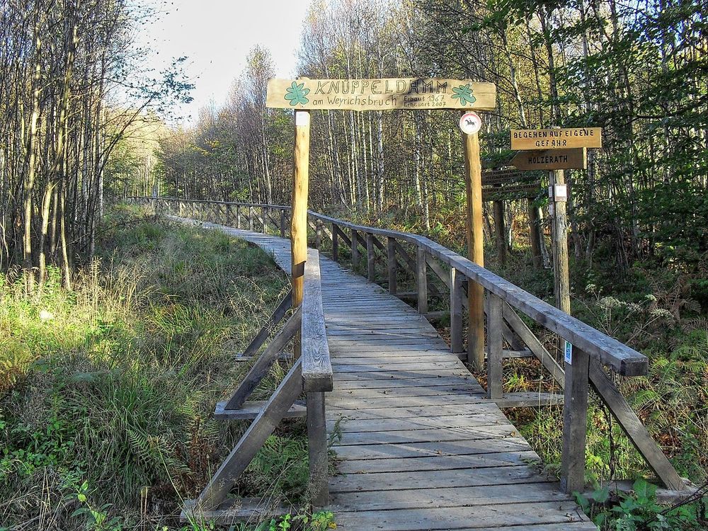 Saar Hunsrück Steig   26