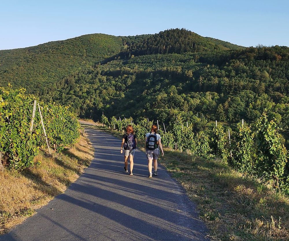 Pissamann Rundwanderweg Zell Merl gmha2k