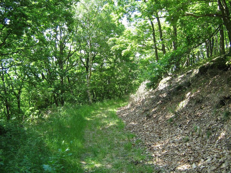 Winchendeller Weiher gl90kx