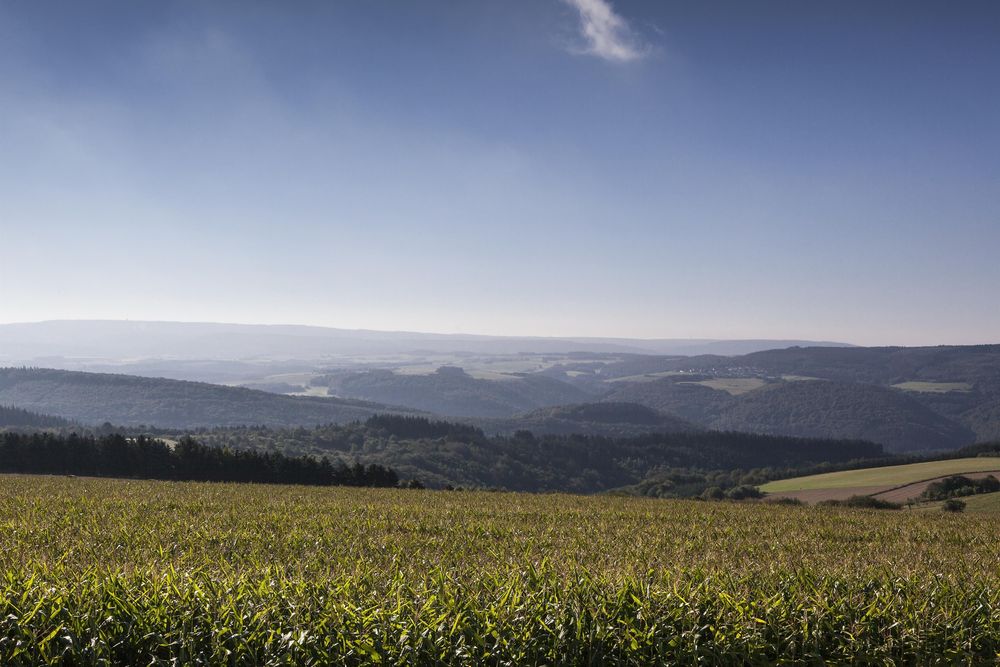 Naturpark Saar Hunsrück gjboi4