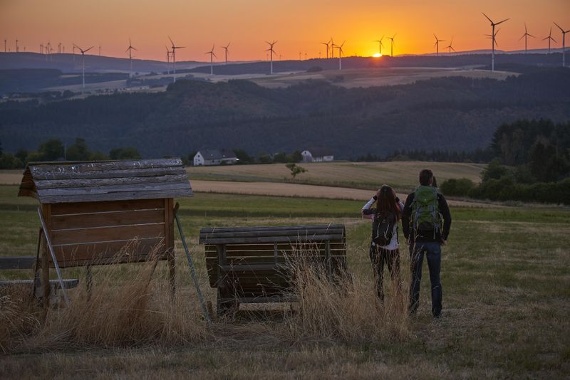 pois/eifel-hunsrueck-blick-an-der-xtraumschleife-5-xtaeler-xtour-d309