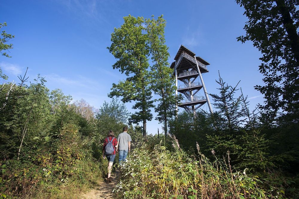 Traumschleife Rund um den Zauberwald ggiyxf