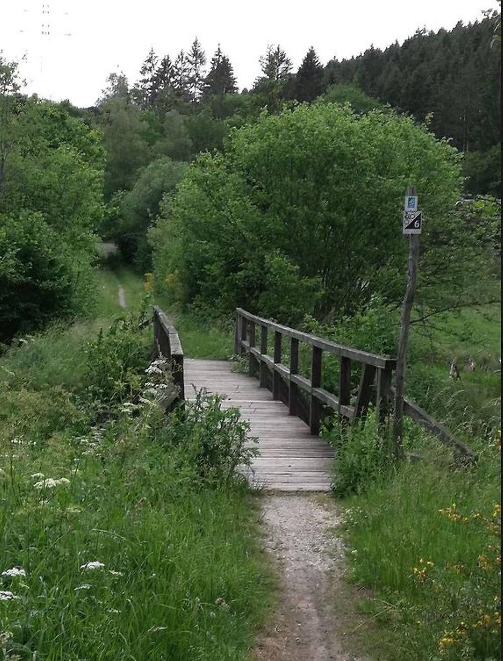 Schutzhütte "Keller Steg" am Saar Hunsrück Steig gfi6i2