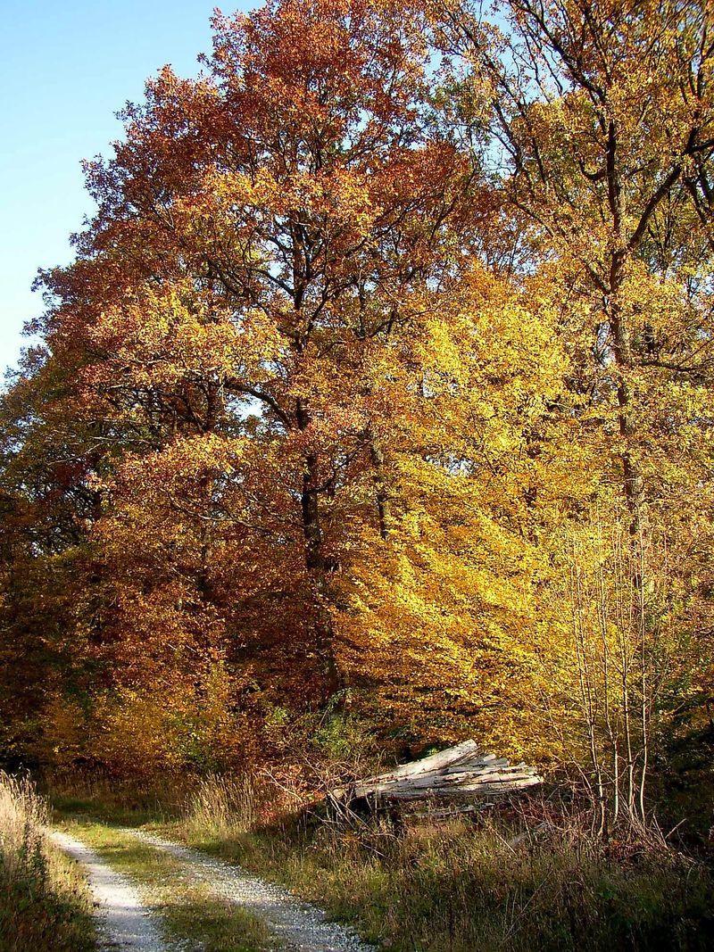 Alte Kalkofen am Weinberger Hof in Stromberg gf5qq2