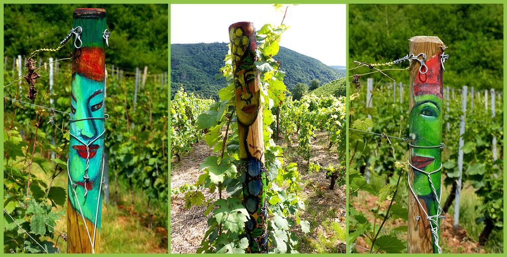 Rundtour Niederhäuser Weinwanderweg gdrnsg