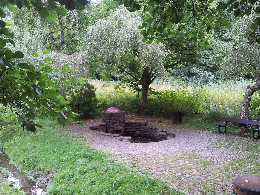 Spaziergang 3   Emmelshausen Heilbrünnchen gd8cg6