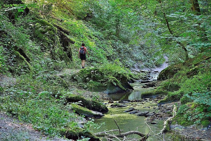Ehrbachklamm als Streckenwanderung fzi8i4