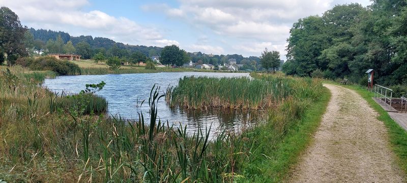 Barrierearmer Rundweg Allenbacher Weiher fyerq5