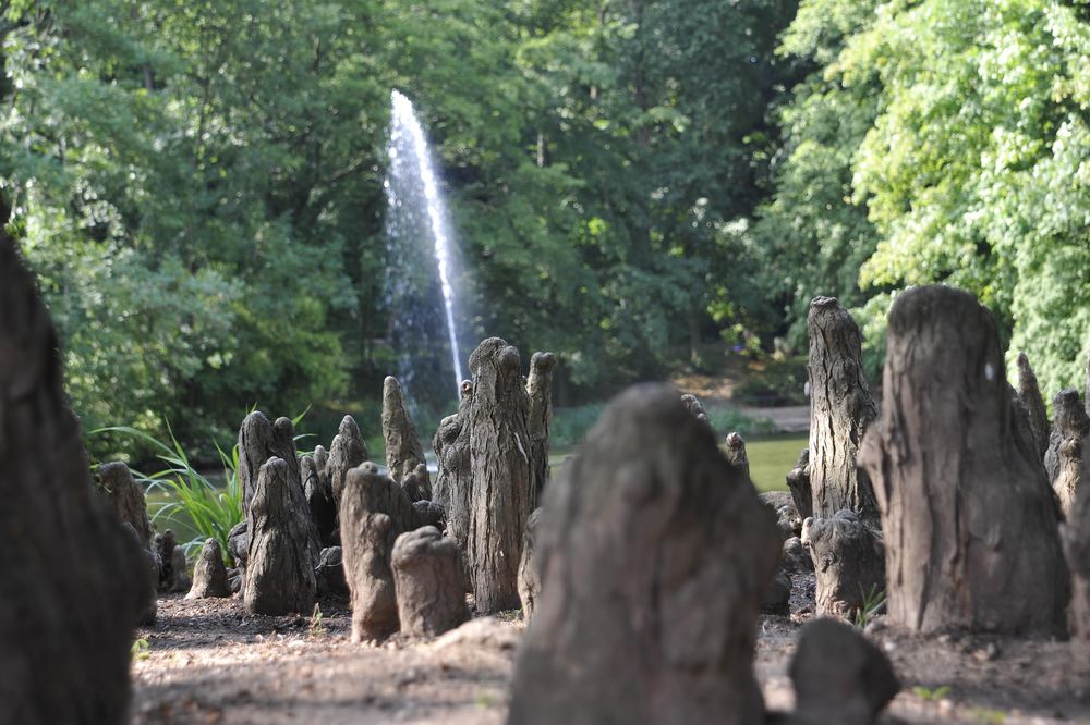 Schlosspark fxhzno