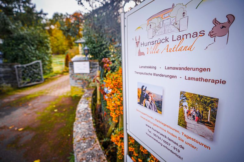 Lama Alpakawanderung: Schnuppertour mit Imbiss fvhjdk