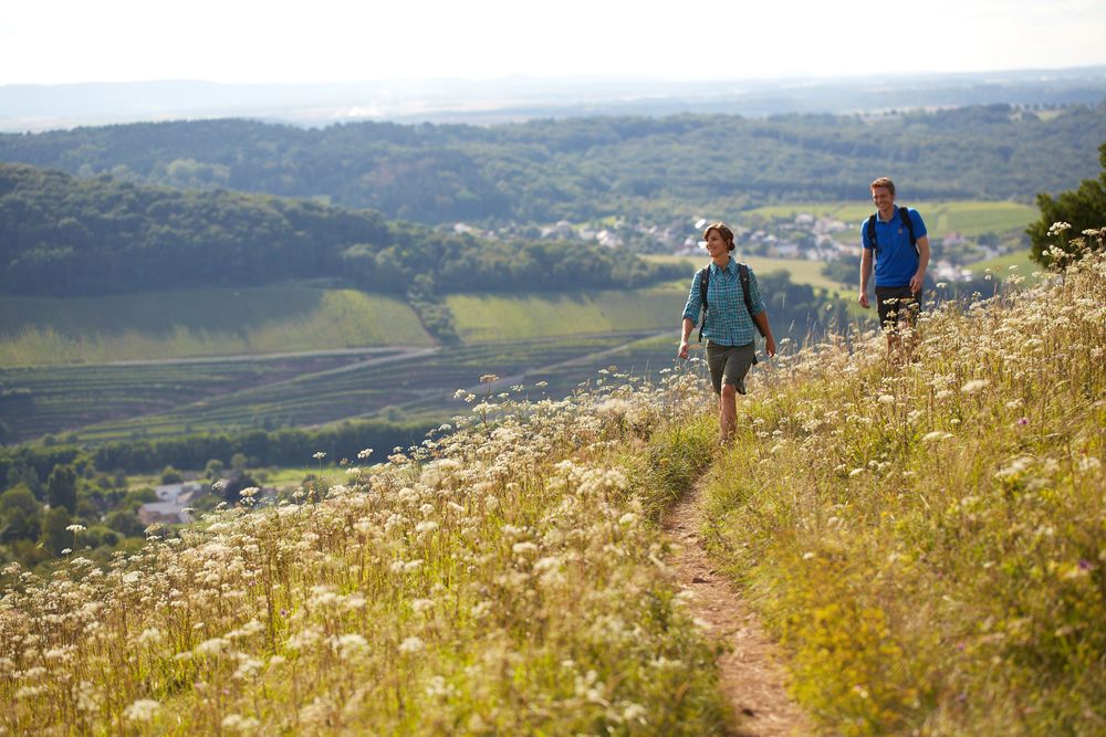 Gesamtstrecke Saar Hunsrück Steig von Perl nach Boppard fug9oh