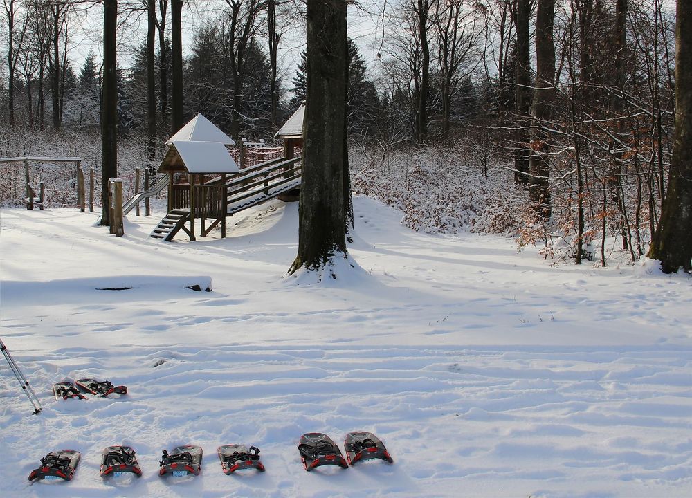 Schneeschuhwanderungen h5n5wz
