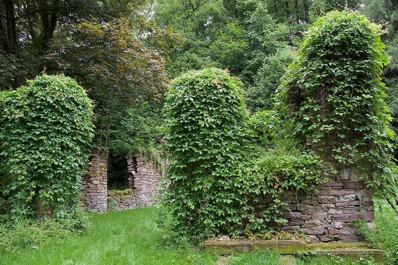 RadLust Schleife WasserTräume h4ep15