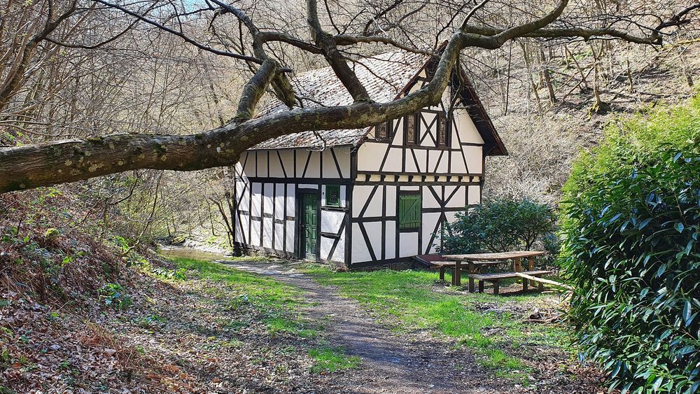 Traumschleifen Quartett im Baybachtal h3q0oh