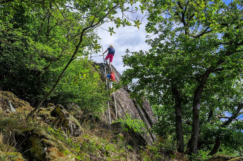 Traumschleife Layensteig Strimmiger Berg fnul9c