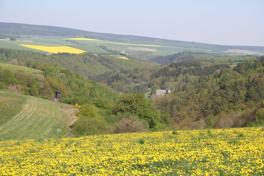 Ausoniusweg 04