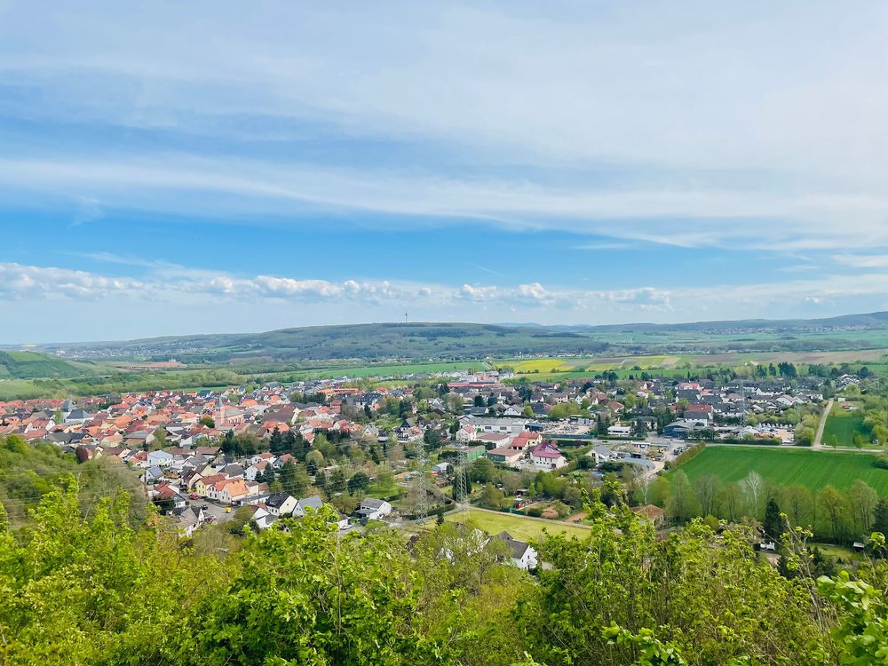 Roxheimer "Roxl" Weg Wein Erlebnispfad fmwvsf