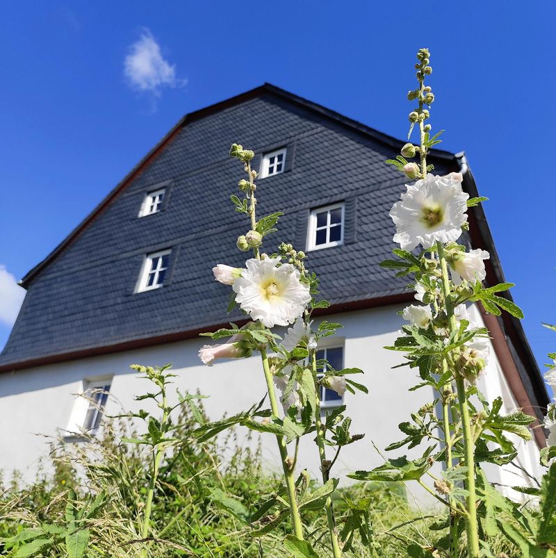 accommodaties/vakantiehuis-zuid-1-f2e8