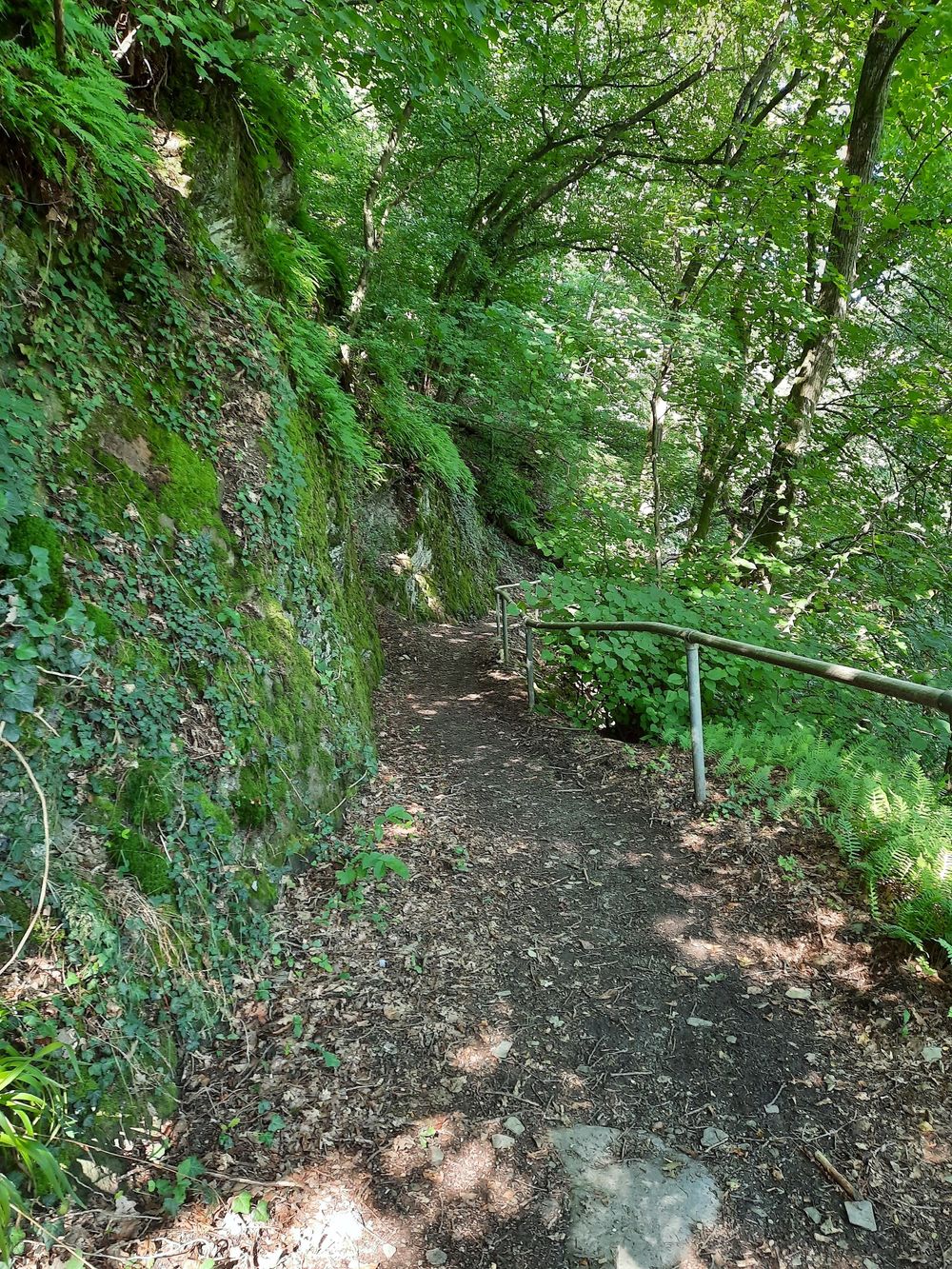 "Marienburg" Rundwanderweg im Zeller Land fijtxk