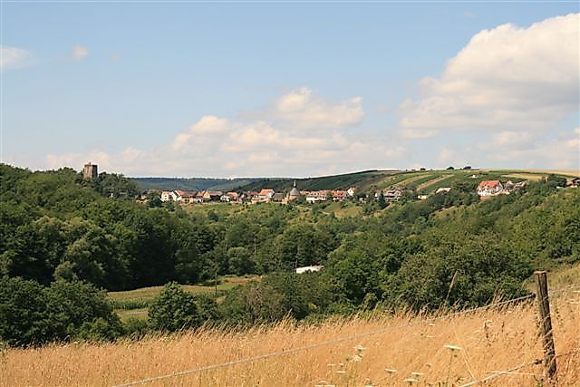 Roter Punkt: von Rüdesheim nach Kreershäuschen/Winterbach zum Soonwaldsteig (über Bockenau) fgvl17