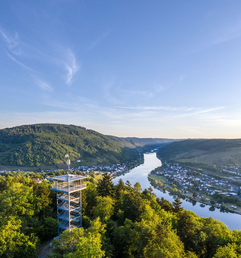 Mosel Camino Bullay   Zell (Mosel)   Traben Trarbach fggkfw