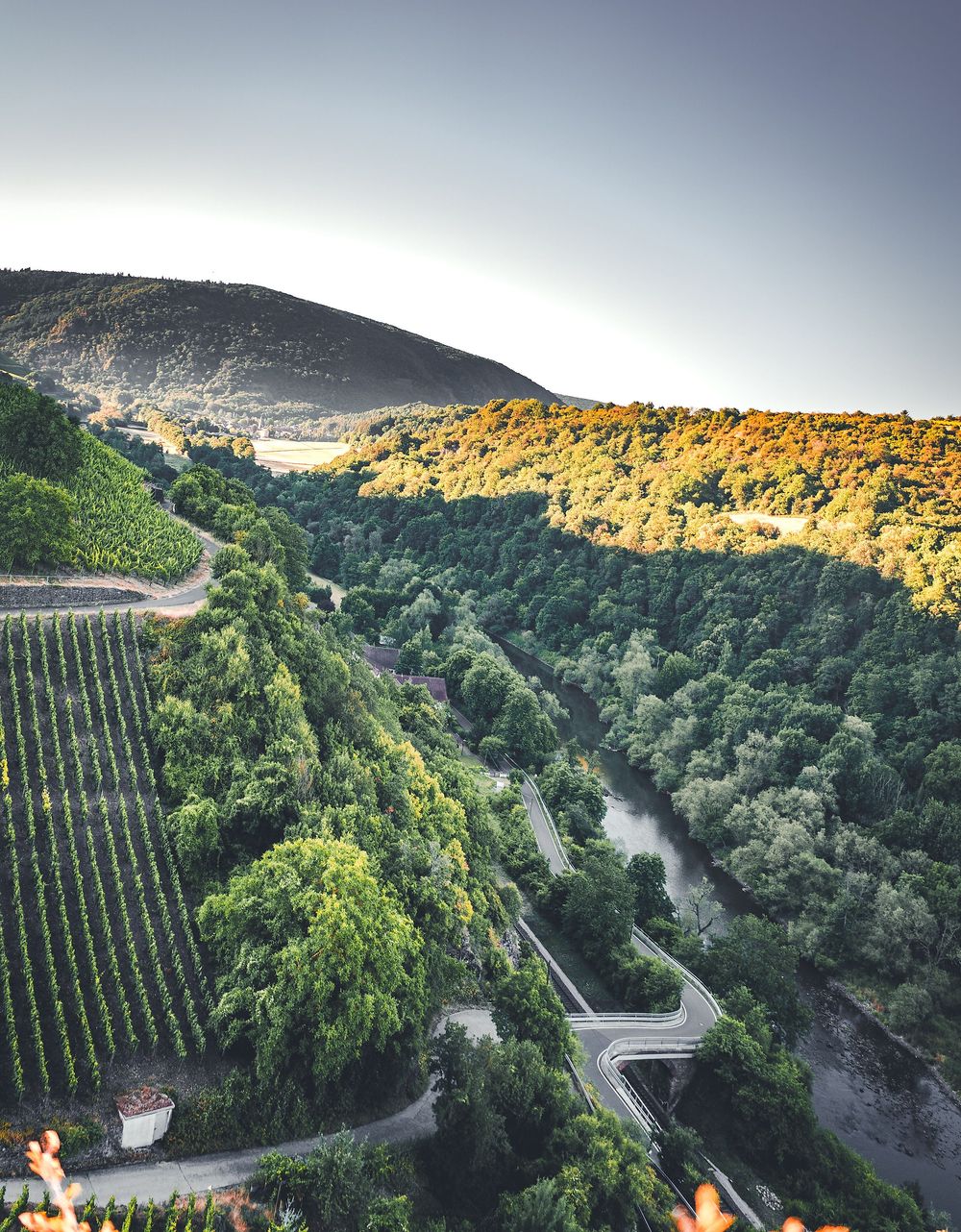 Panoramaweg über den Heimberg Schloßböckelheim ffhwu0
