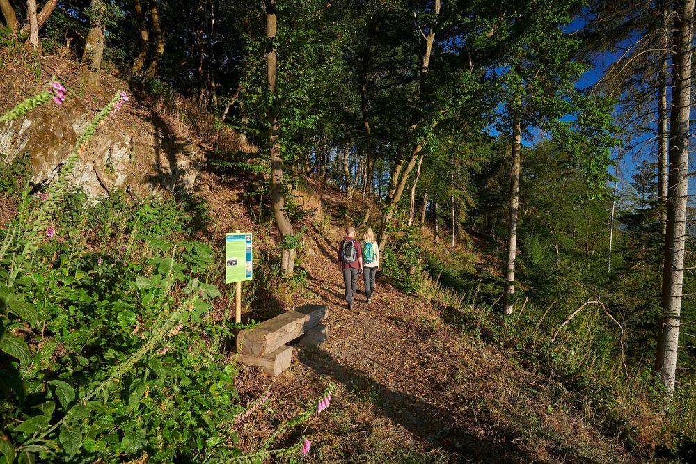Traumschleife Schiefer Wackenweg ffhg40