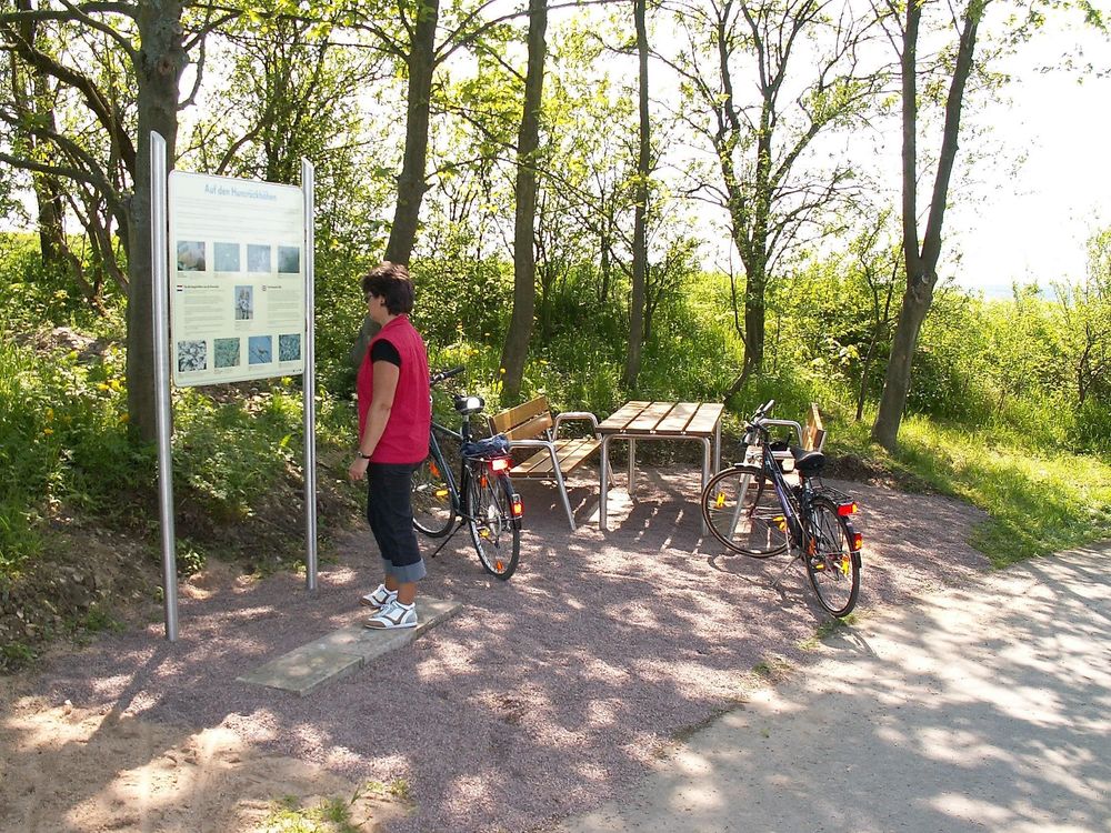 Hunsrück Mosel Radweg fbasm5