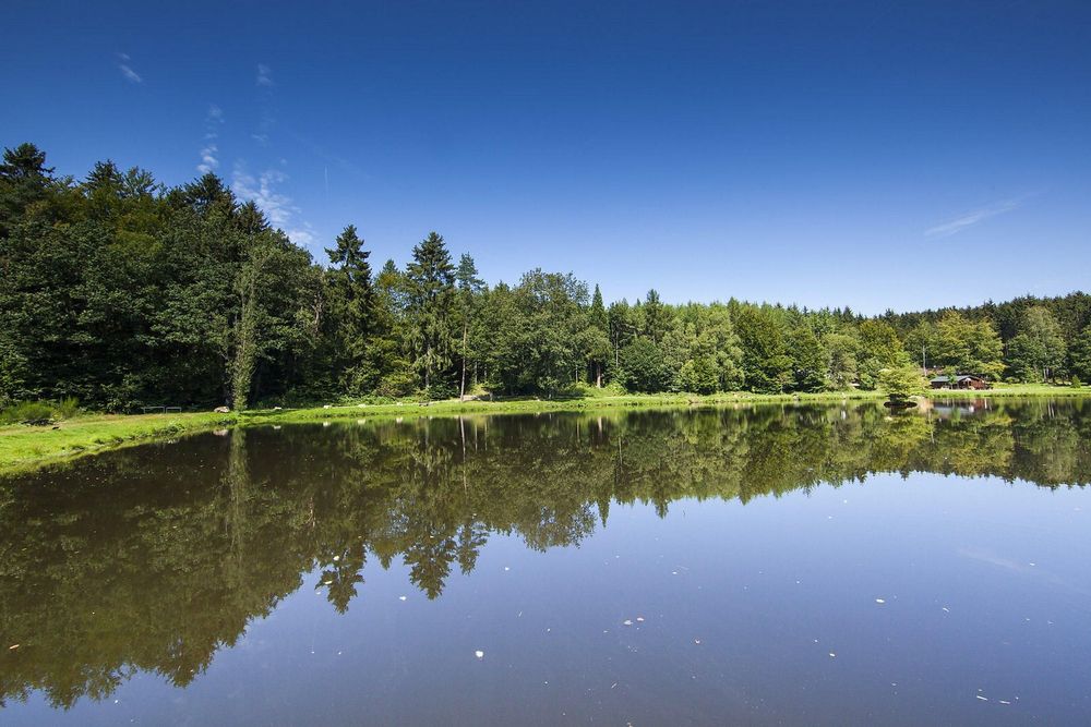 TRAUMSCHLEIFE Schillinger Panoramaweg eyey9m