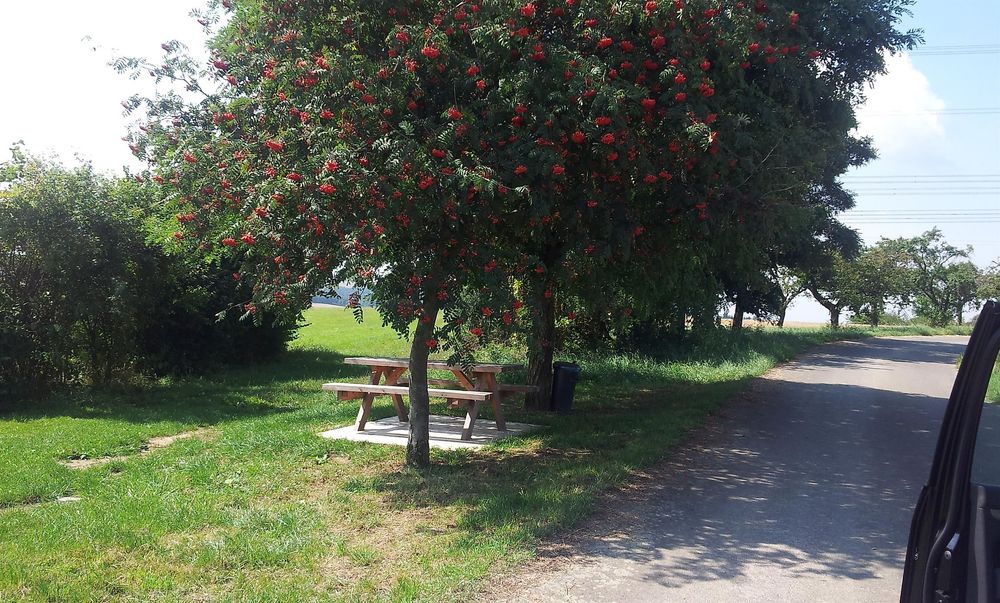 Picknickbank Ney eyc19h