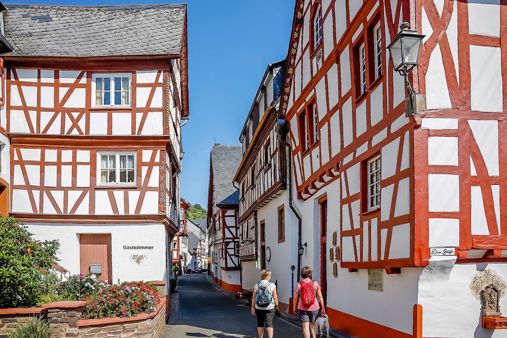Moselsteig Seitensprung Felsen