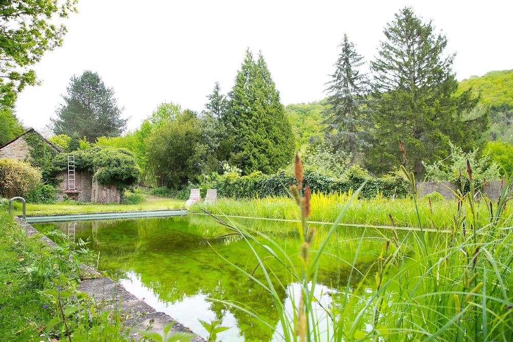 Alte Villa Meisenheim evau0u