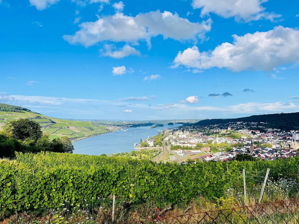 Ferienwohnung Rochusblick g6iraj
