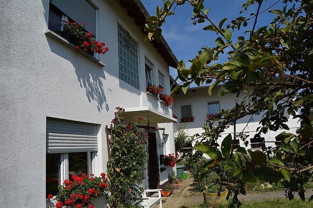 Lindenhof Hahn esfve5