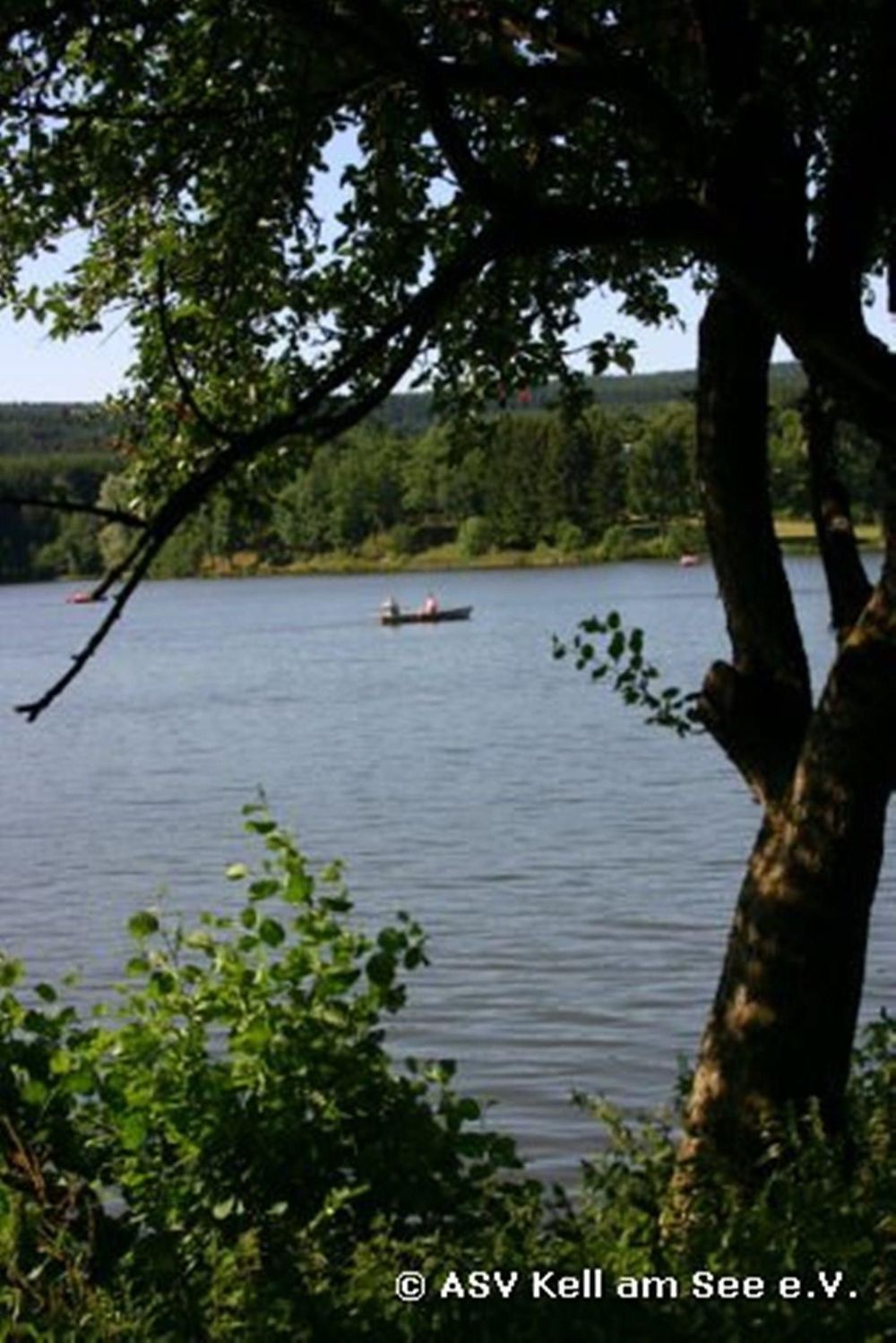 Angeln in Kell am See erlfbh