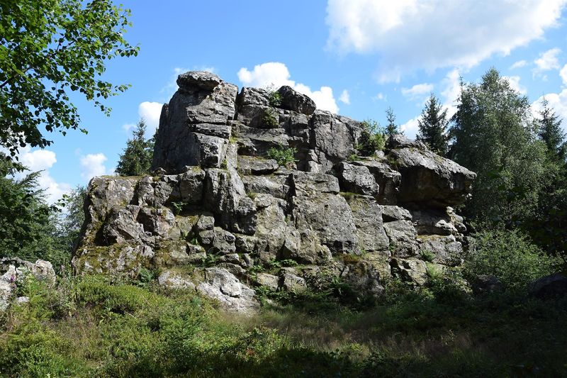 Graue Eltz eriohe
