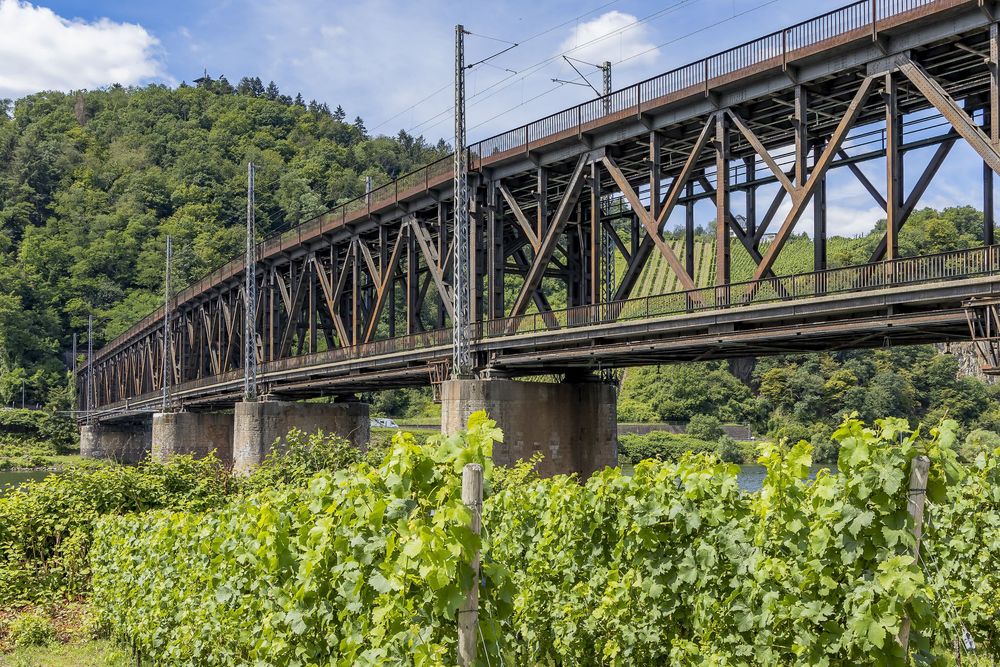 Weinkultur Radrundfahrt über Neef und Reil er1thf