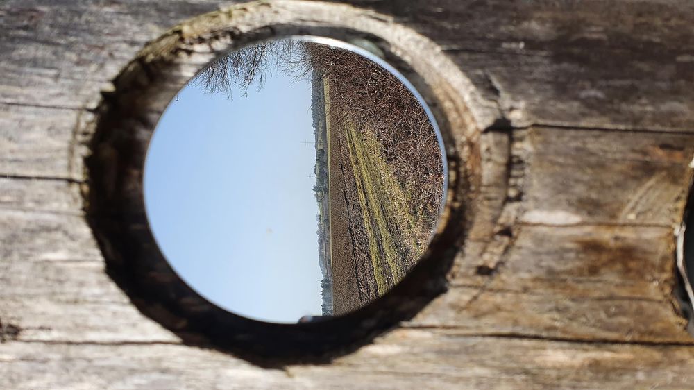Geh Denke Weg: Spiegelbaum g35731