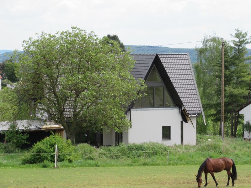 Schöner Berg Weg g0ew9s