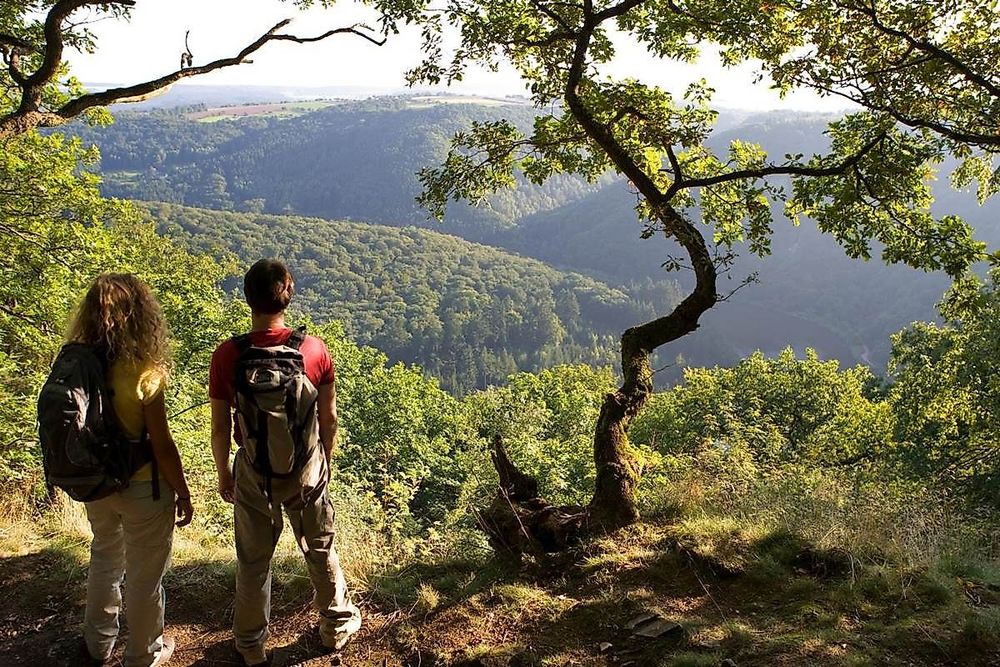 Saar Hunsrück Steig   02