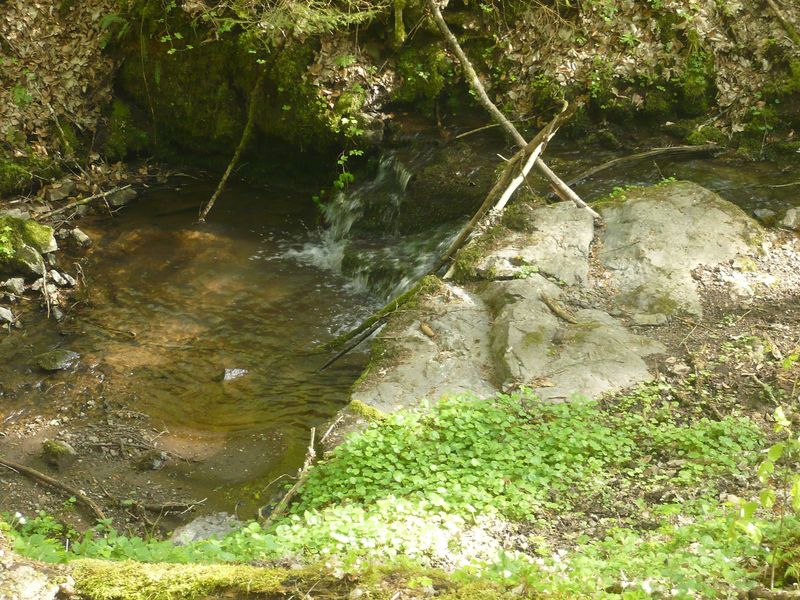 "Odels Uwe" Wanderweg Kronweiler g16h9e