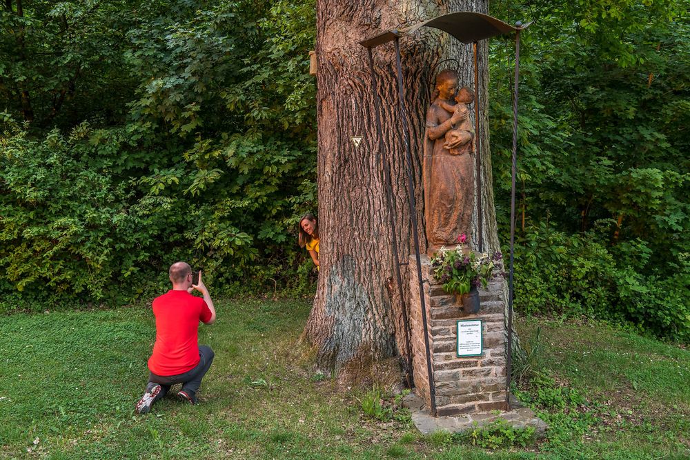Traumschleife Murscher Eselsche elbpxm