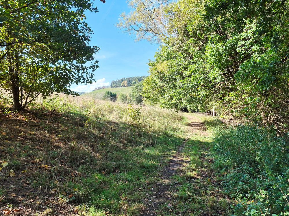 Ausoniusweg 06