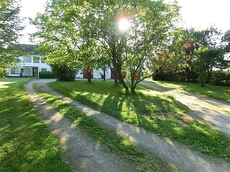 Lindenhof Hahn edj85g