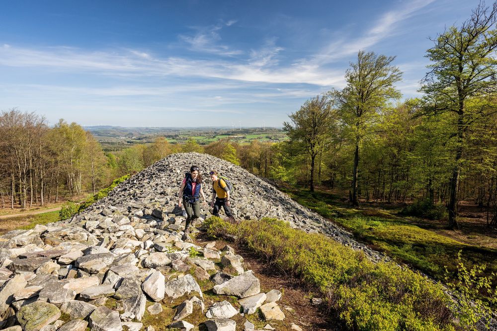 Nationalpark Traumschleife Dollbergschleife ecslpf