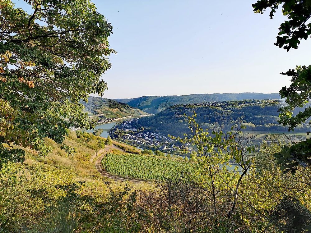 Pissamann Rundwanderweg Zell Merl ecd5v8